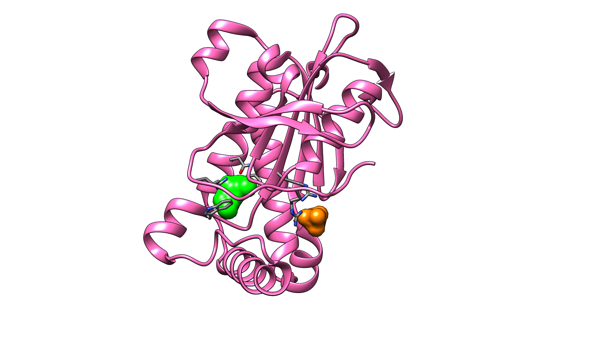 Modulation of adenylate cyclase