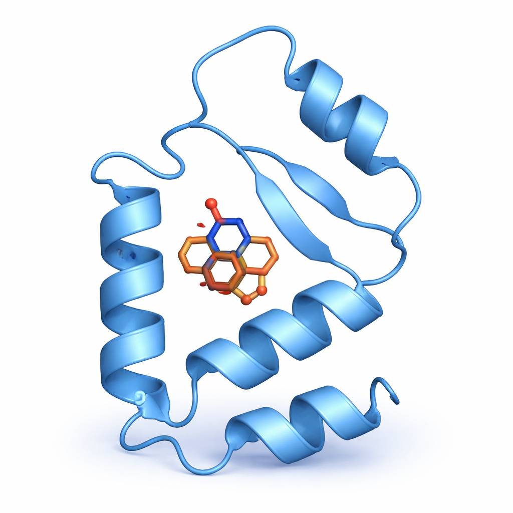 A small molecule binding to a protein